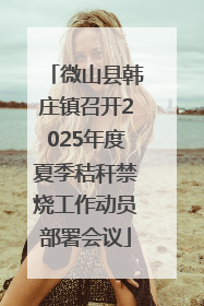 微山县韩庄镇召开2025年度夏季秸秆禁烧工作动员部署会议